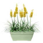 vibia campana terrace trough 80cm pistache green